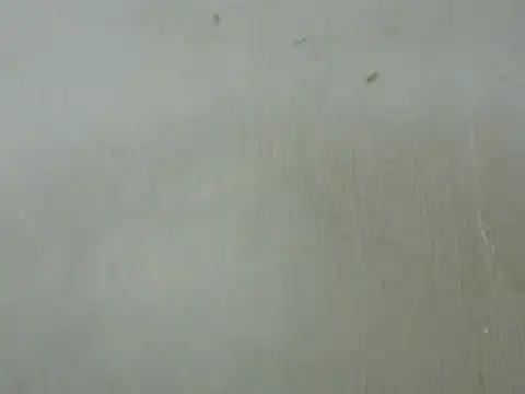 dickrus0077 online show from 02-25-25, 05:25