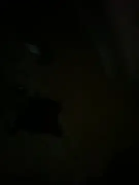 hardbigcock16 online show from 04-03-26, 06:17