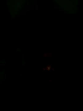 Snapshot of Long_Laster chatting on 02-12-26, 06:03 Long Laster online show from 02-12-26, 06:03