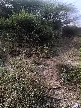 Snapshot of Abinash7732 chatting on 02-01-26, 03:05 Abinash7732 online show from 02-01-26, 03:05