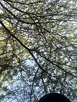 Snapshot of Abinash7732 chatting on 03-08-26, 02:15 Abinash7732 online show from 03-08-26, 02:15