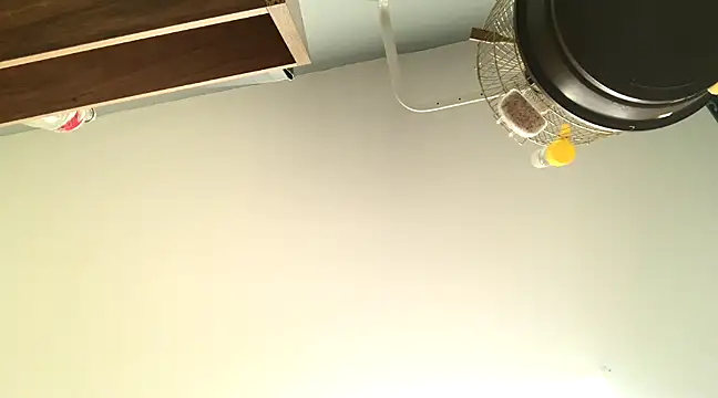 themany29 online show from 01-27-25, 08:17