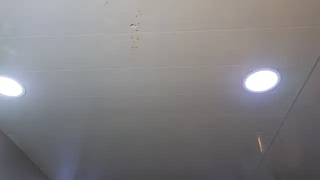 camil milfdream online show from 05-03-26, 11:05