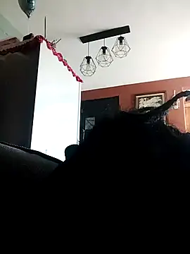 Snapshot of Bola453 chatting on 03-02-26, 04:58 Bola453 online show from 03-02-26, 04:58