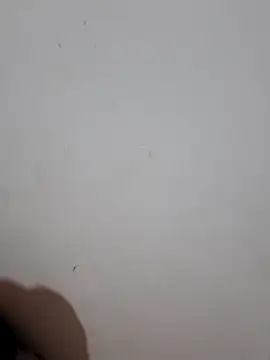 Snapshot of sweet_Melody_xx chatting on 09-29-25, 01:11 sweet Melody xx online show from 09-29-25, 01:11