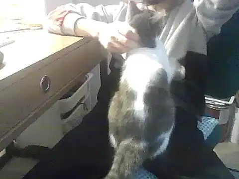 kallaviz online show from 01-07-26, 07:16