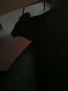 Snapshot of homidor chatting on 12-20-24, 02:16 homidor online show from 12-20-24, 02:16