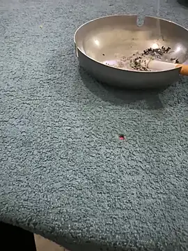 Snapshot of homidor chatting on 01-08-25, 06:41 homidor online show from 01-08-25, 06:41