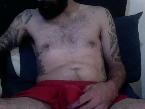 gaita2 online show from 02-08-26, 03:04