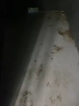 zeekBbc online show from 04-05-26, 12:41