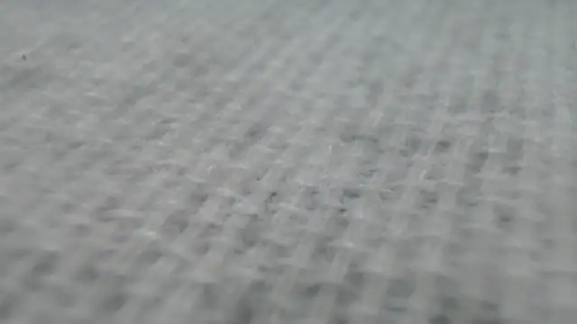 Snapshot of _Zooee chatting on 01-27-25, 04:22 Zooee online show from 01-27-25, 04:22