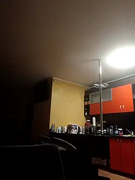 X46x online show from 03-08-26, 04:05