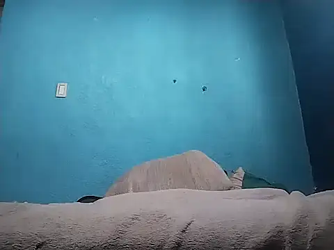 Vago745 online show from 04-10-26, 08:24