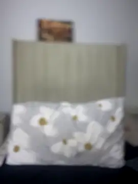 BhadBhad Kitty online show from 10-08-25, 04:21