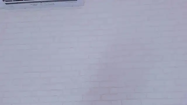 Tiffany mendez online show from 01-17-25, 12:10