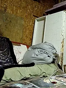 lilbishmiss online show from 10-16-25, 11:50