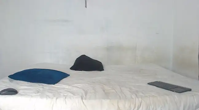 Snapshot of edwin_mosquera1 chatting on 12-21-24, 03:09 edwin mosquera1 online show from 12-21-24, 03:09