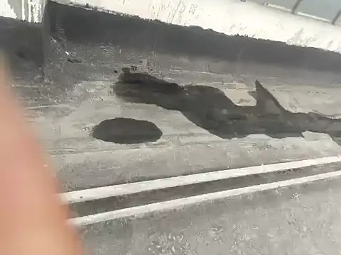 Gururonny07 online show from 01-15-25, 05:29