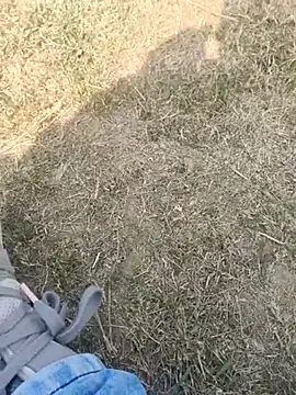 Gururonny07 online show from 02-19-25, 07:28