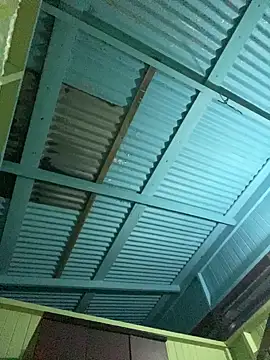 islandvybee55 online show from 01-11-26, 09:14