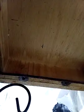 Snapshot of DaniSexFlow chatting on 10-13-25, 04:34 DaniSexFlow online show from 10-13-25, 04:34