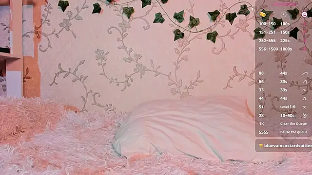 Ann Sweer online show from 01-23-25, 12:09