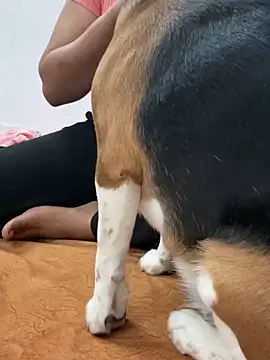 sissarahotty online show from 02-02-25, 11:21