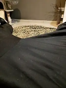 HotBoy6699 online show from 02-11-26, 02:16