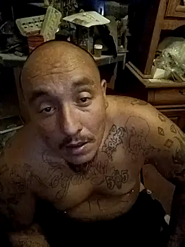 wilsons12 online show from 11-08-25, 05:18