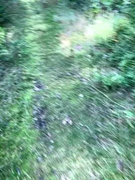 Zbochunec online show from 09-13-25, 11:43