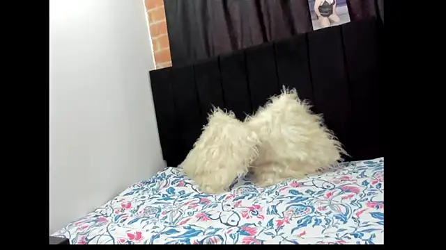 Snapshot of Evaaross_2345 chatting on 12-27-24, 01:28 Evaaross 2345 online show from 12-27-24, 01:28