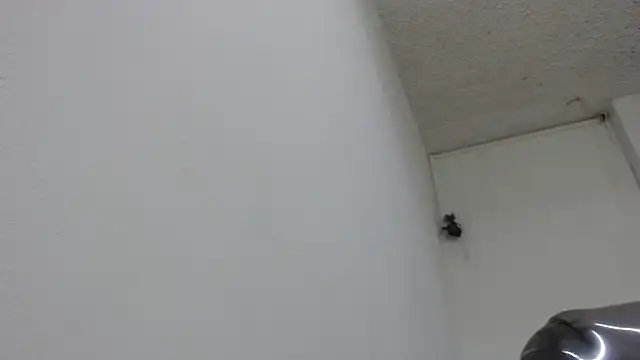 sexy lady 0 online show from 02-13-25, 08:34