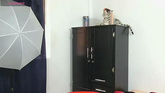 Snapshot of Spartan-Blaze chatting on 03-17-25, 05:27 Spartan-Blaze online show from 03-17-25, 05:27