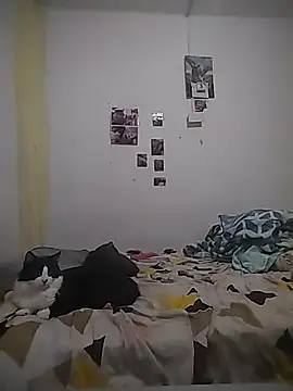 Snapshot of safira_hot chatting on 02-16-26, 12:40 safira hot online show from 02-16-26, 12:40