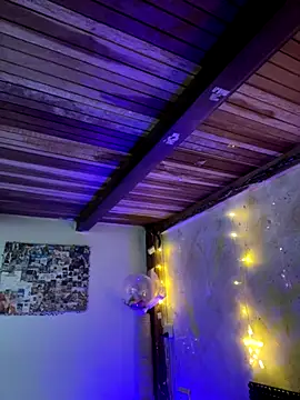 SophiaWeestt99 online show from 11-29-25, 02:36