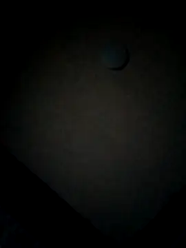 Snapshot of minitranca chatting on 02-12-26, 10:05 minitranca online show from 02-12-26, 10:05