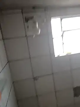 DitchingThrottle online show from 03-19-26, 12:31