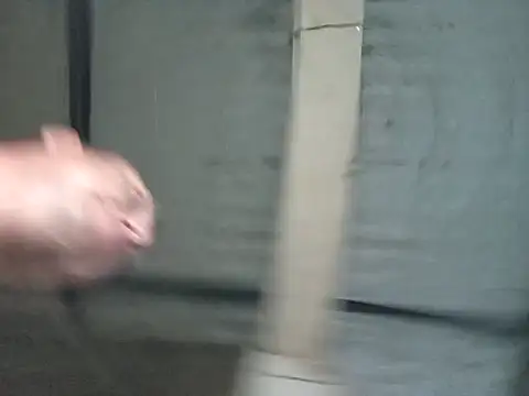 strip 1212 online show from 11-06-25, 11:48