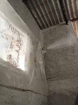 strip 1212 online show from 11-16-25, 02:55