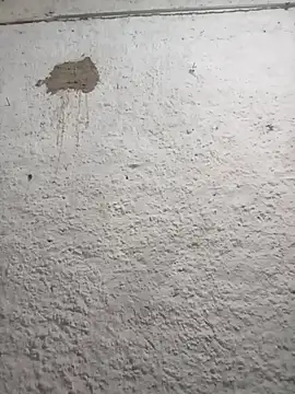 strip 1212 online show from 03-01-26, 02:52