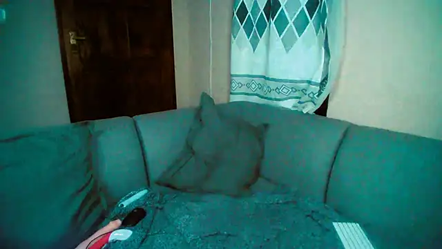 GoldenPussyXOXO online show from 12-05-24, 11:40
