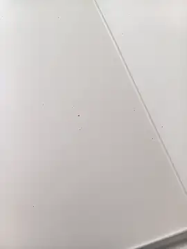 bbferlinaa online show from 03-21-26, 07:50