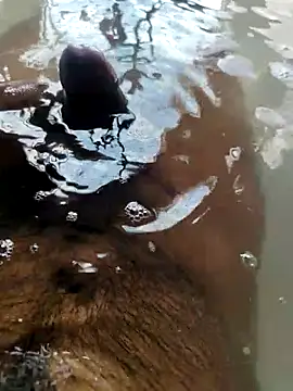 Snapshot of mysterious_guy_kakashi1 chatting on 02-22-26, 09:41 mysterious guy kakashi1 online show from 02-22-26, 09:41