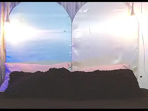 Snapshot of tylor_boy chatting on 01-07-26, 04:26 tylor boy online show from 01-07-26, 04:26