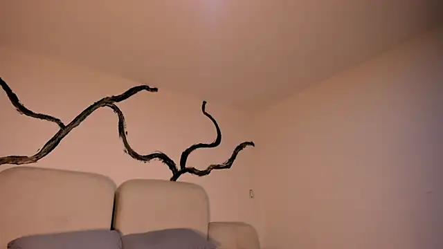 Snapshot of EthanTravis_ chatting on 02-11-25, 07:33 EthanTravis online show from 02-11-25, 07:33