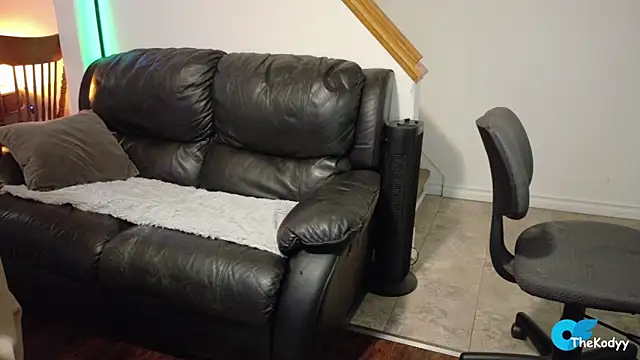 Snapshot of Thekodyy chatting on 03-04-26, 12:44 Thekodyy online show from 03-04-26, 12:44