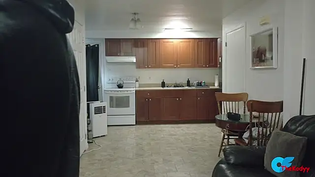 Snapshot of Thekodyy chatting on 07-19-26, 10:19 Thekodyy online show from 07-19-26, 10:19