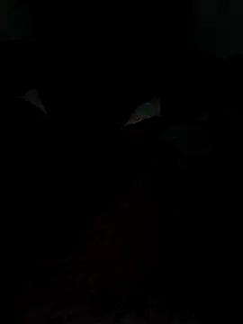 catreena online show from 02-09-26, 07:29