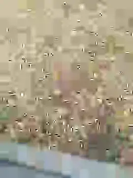 Mrveda66 online show from 02-10-26, 11:03