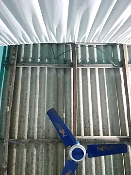 hotbaby 5 online show from 11-26-25, 01:12